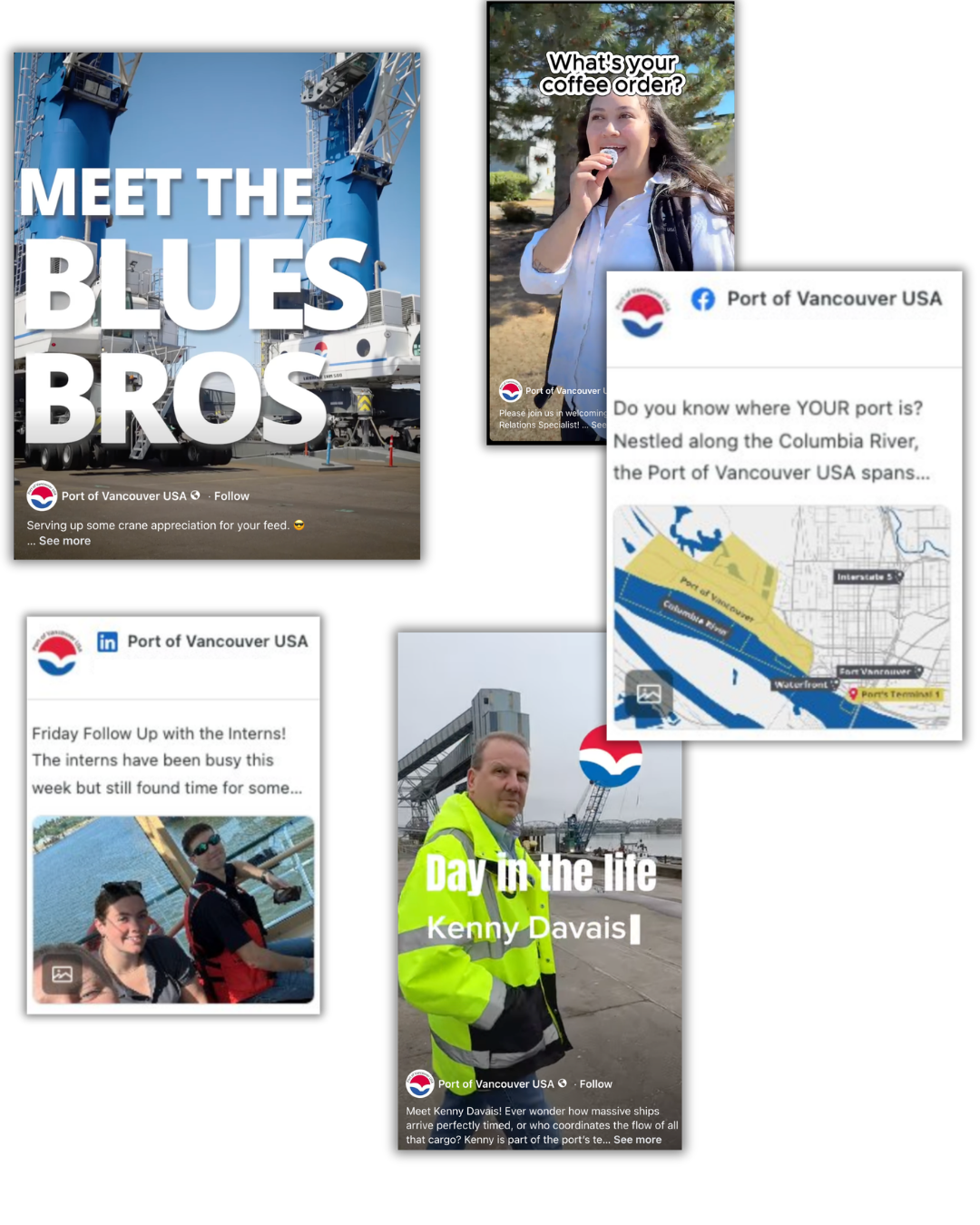 social gallery